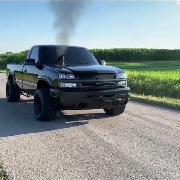 Meet your Posher, Myles - Picture 1 of 1